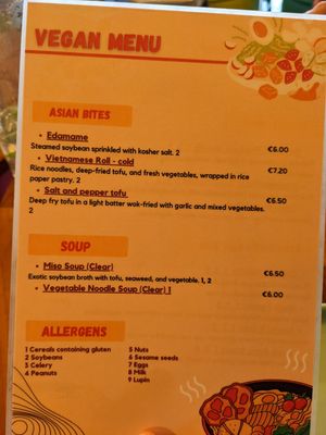 New vegan menu (also many dishes on the regular menu can be made vegan, ask the waiter) at Umbrella Asian Tapas in Galway