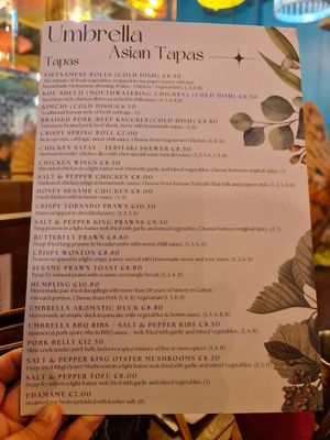 Menu at Umbrella Asian Tapas in Galway