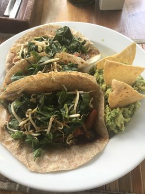 Vegan tacos  at Natura Restaurante in Cancun