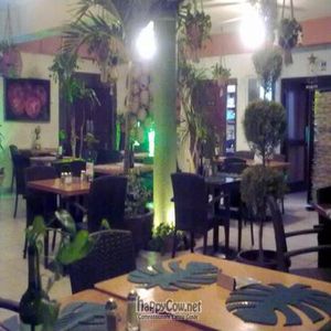  at Natura Restaurante in Cancun