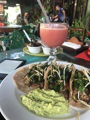 Veggie taxis & fresh grapefruit juice at Natura Restaurante in Cancun