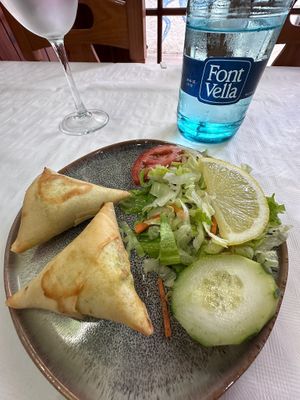Vegan samosas  at Bayleaf Indian in Tossa De Mar