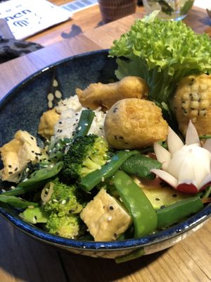 The bowl  at Udum in Cologne