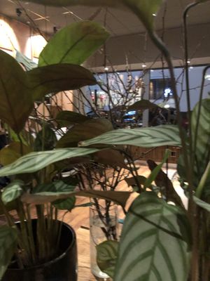 Beautiful ambience   at Udum in Cologne