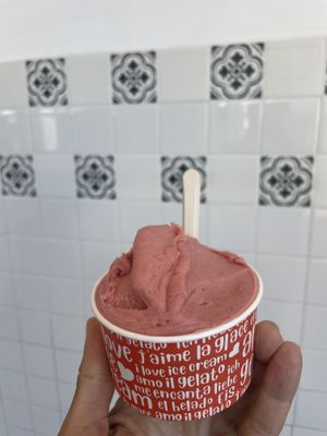   at Tondi Gelato in Santa Barbara