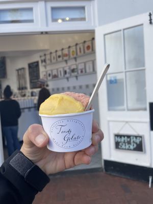   at Tondi Gelato in Santa Barbara