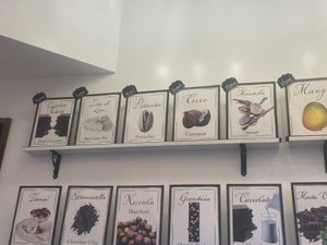 Las opciones veganas señalizadas en la línea de arriba   at Tondi Gelato in Santa Barbara