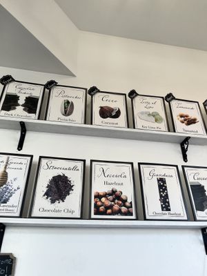 Vegan flavors on top row  at Tondi Gelato in Santa Barbara