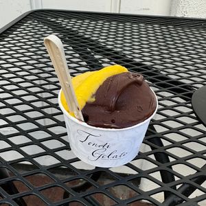 mango and chocolate   at Tondi Gelato in Santa Barbara