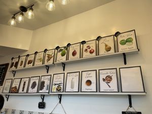 Whole top row shows the different vegan flavours  at Tondi Gelato in Santa Barbara