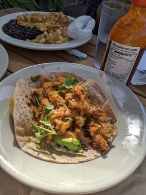 Vegan seitan fish taco at Mr. Natural - East Cesar in Austin