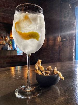 Gin Perro Desterrado with Librado bitter. at Luvina Vegan Bar in Mexico City