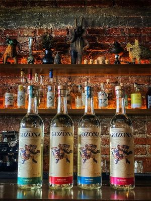 Mezcal Gozona at Luvina Vegan Bar in Mexico City