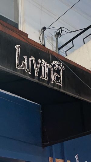 Luvina  at Luvina Vegan Bar in Mexico City