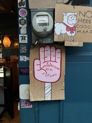   at Luvina Vegan Bar in Mexico City