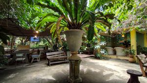 Dining area at Loving Hut - Pak Chong in Pak Chong