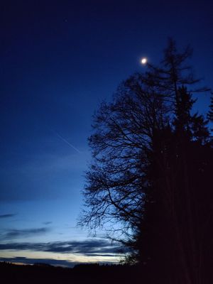  at Waldcafe in Bad Groenenbach