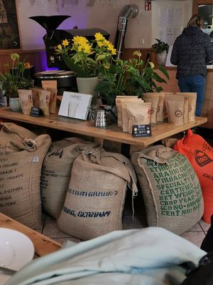  at Solid Ground in Uberlingen