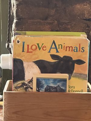   at Sarai.Space in Brest