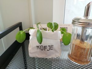 Deko at Café Kofje in Hamburg