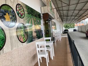 Shop view at Mais Ecologico in Sao Pedro Do Sul