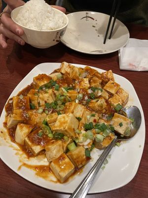 Mapo tofu  at Dumpling House in Cambridge