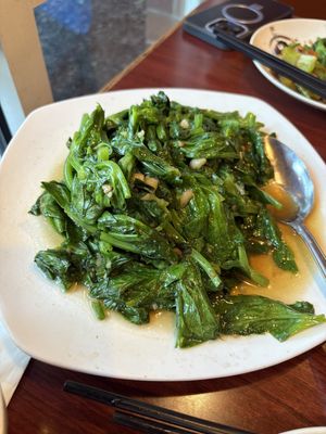 Sautéed peapod shoots with garlic  at Dumpling House in Cambridge