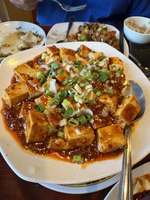 Ma Po Tofu  at Dumpling House in Cambridge