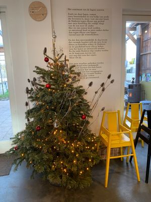   at De Moestuin in Utrecht