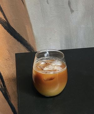 Hornet at Twinkle in Kharkiv