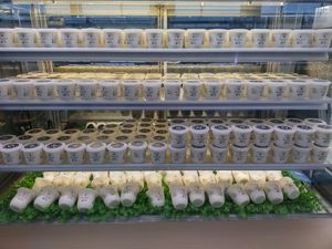 Coconut Pudding at So Coco in Hong Kong Island