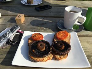 Mushroom, tomatoes on sourdough at Flint Barn Cafe in Midhurst