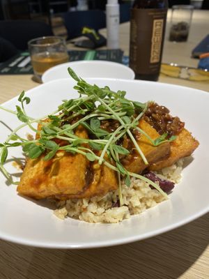 Mapo tofu cauliflower rice at Root Vegan - 本原純素 in Hong Kong Island
