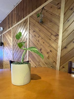 . at Natuurlik in Boynton Beach