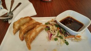 Veggie Potstickers at Veggie Heaven in Austin