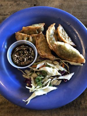 Potstickers at Veggie Heaven in Austin