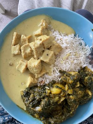 Coconut tofu, garlic rice, roti and sag aloo  at Gurkha in Dawlish