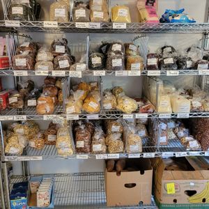  at Good Cheap Food in Delhi