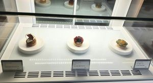 display of desserts (vegan options labelled) at Perlen - 펠른 in Seoul