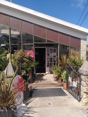 Outside at Aldea Coop in Sintra