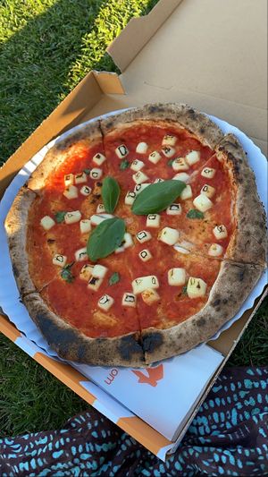 Vegan cheese looks weird but was actually good!  at Gallo Grigio in Vila Nova De Gaia