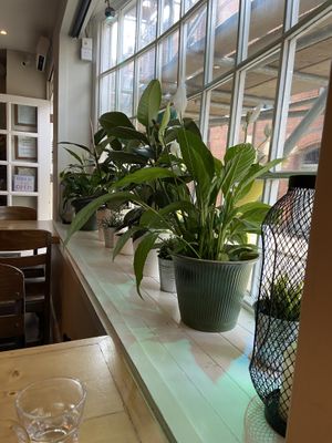 Inside  at Source in York