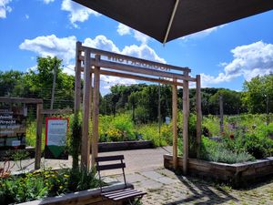 The garden at Noordertuin in Utrecht