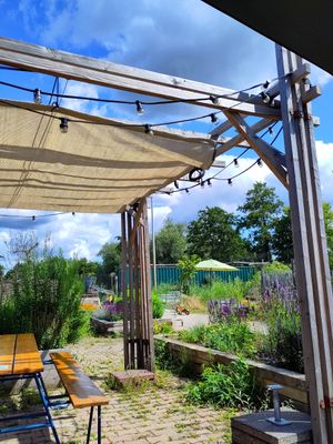 The garden at Noordertuin in Utrecht