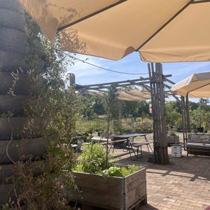 Outside   at Noordertuin in Utrecht