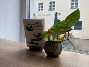   at Hungry Monkey in Ingolstadt