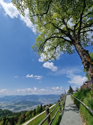 The vieeeeewwwww😍 at Gipfelhaus Magdalensberg in Magdalensberg