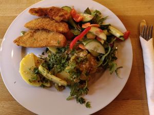 Sellerieschnitzel (vegan) at Aha Cafe in Dresden