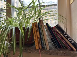 inside  at Aha Cafe in Dresden