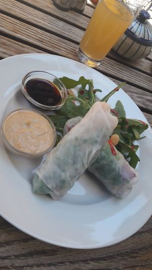 vegan summer rolls at Aha Cafe in Dresden